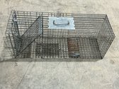 Havahart Wire Mesh Live Animal Trap