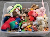 Beanie Babies