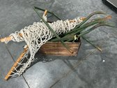 Silver Laundry Crate And Hammock Set