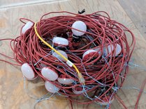 Temporary LED Construction String Lights