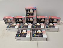 Fusionlamps A19 Frosted Light Bulbs