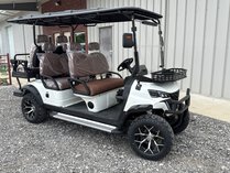 New 6-Passenger Golf Cart