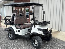 New 4-Passenger Golf Cart