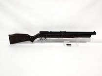Benjamin Air Rifle