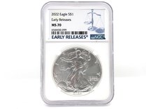 NGC 2022 American Silver Eagle