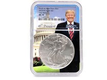 NGC 2023 American Silver Eagle S$1
