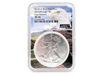 NGC 2023 American Silver Eagle S$1