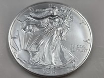 2015 American Silver Eagle 1 Oz Coin