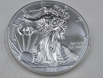 2015 American Silver Eagle 1 Oz Coin