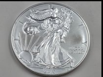 2015 American Silver Eagle 1 Oz Coin