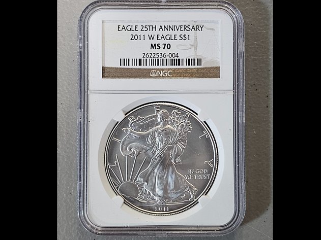 Image for November Purge 2025