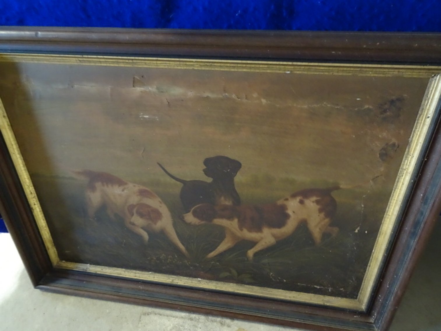 Image for Aug 29, 2024 Public Auction