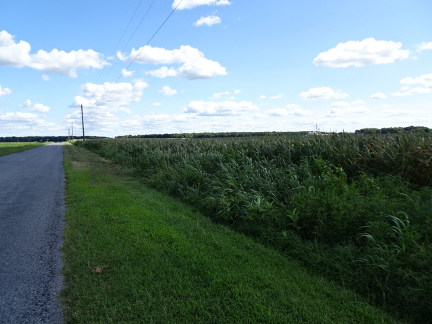 Image for Oct 5, 2024 ESTATE AUCTION - REAL ESTATE