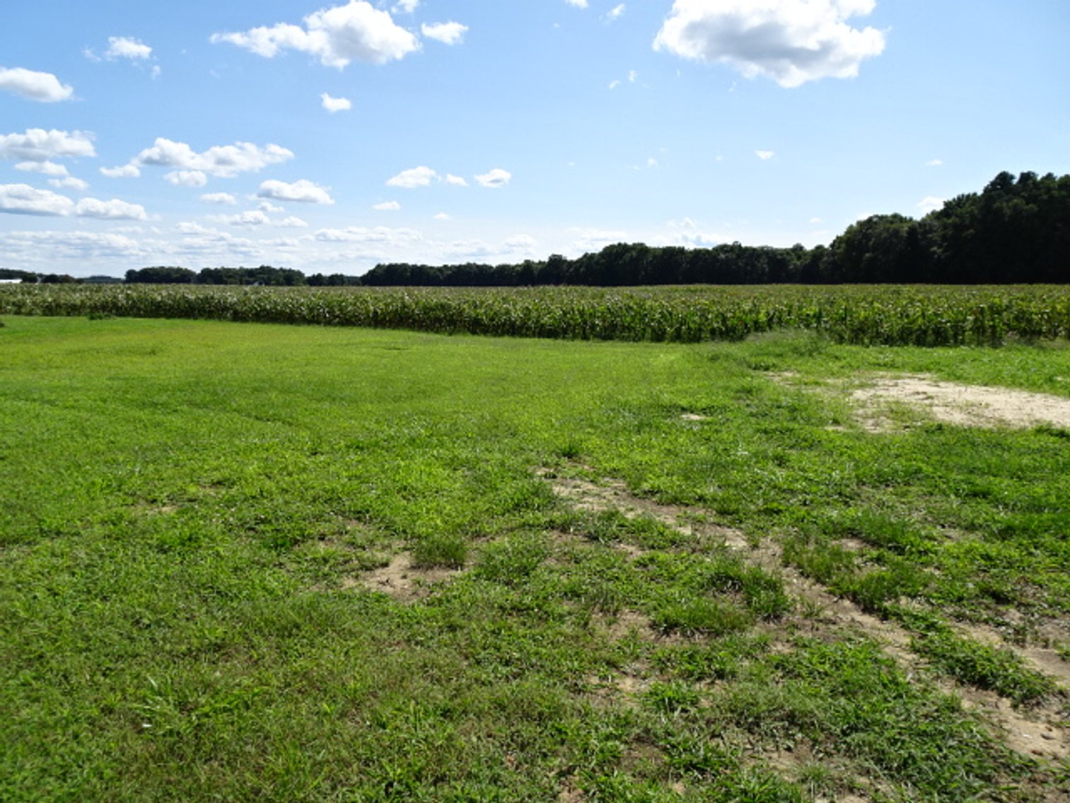 Image for Oct 5, 2024 ESTATE AUCTION - REAL ESTATE