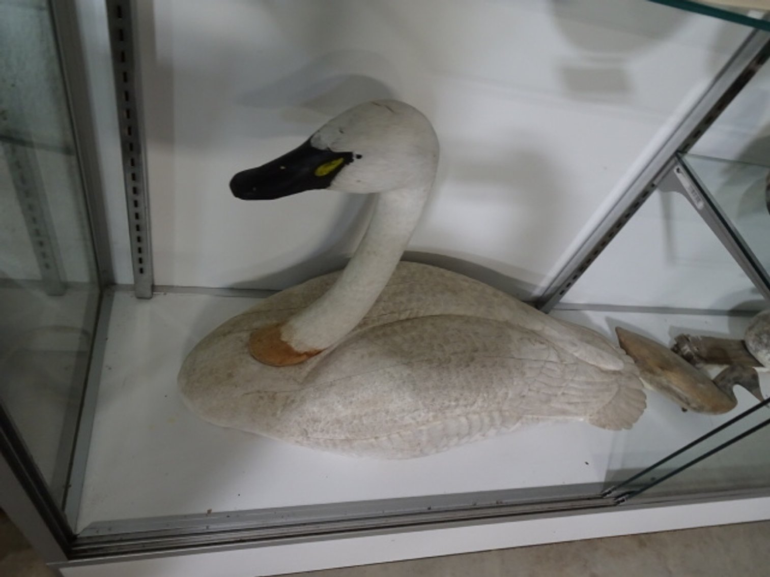 Image for Feb 20, 2025 Public Auction