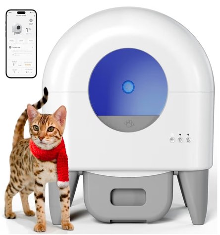 Image for March 16 Online Madness !