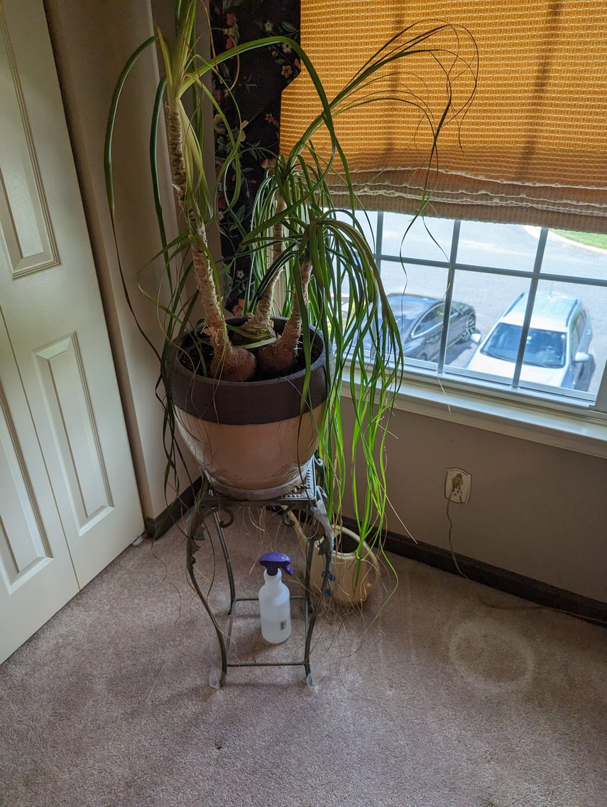 Image for CLEAN 4 BR, 3.5 BA EOG BRICK FRONT TOWNHOME