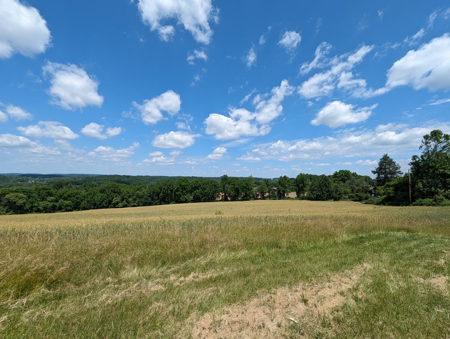 Image for 20.185 +/- ACRES/ 2 RESIDENCES/ 2 BLDG RIGHTS 2 LG GARAGE/ STORAGE STRUCTURES W/ ELECTRIC ON PROPERTY (SDAT # 03-059030)