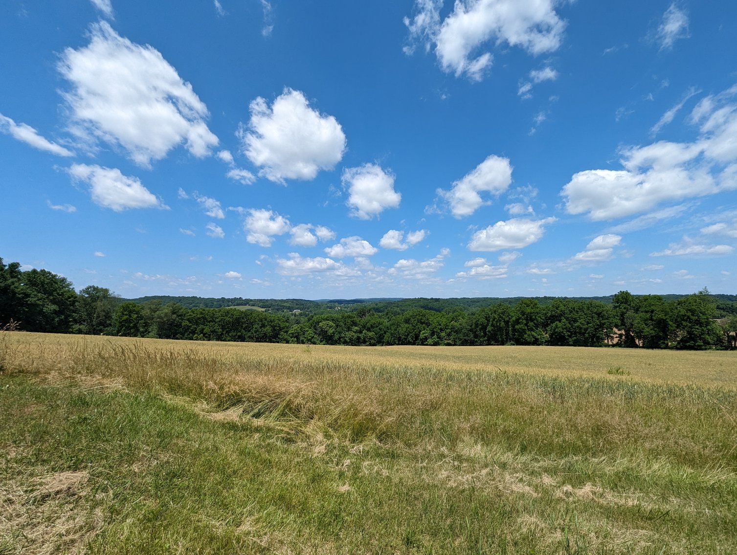 Image for 20.185 +/- ACRES/ 2 RESIDENCES/ 2 BLDG RIGHTS 2 LG GARAGE/ STORAGE STRUCTURES W/ ELECTRIC ON PROPERTY (SDAT # 03-059030)