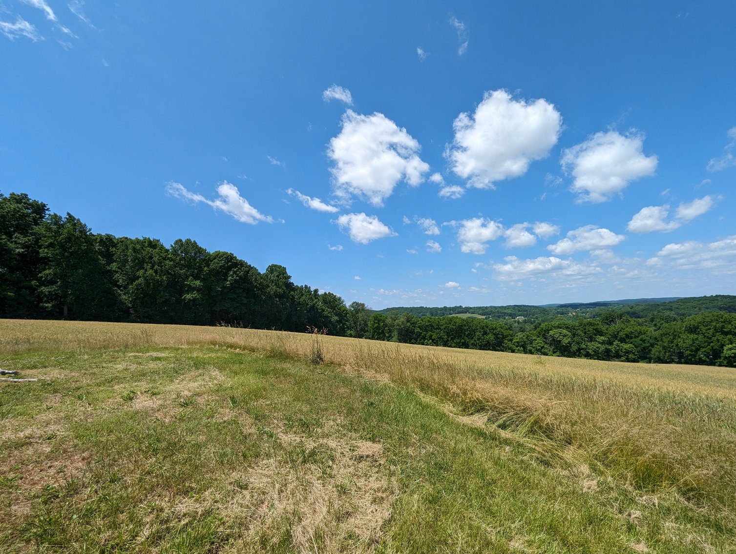 Image for 20.185 +/- ACRES/ 2 RESIDENCES/ 2 BLDG RIGHTS 2 LG GARAGE/ STORAGE STRUCTURES W/ ELECTRIC ON PROPERTY (SDAT # 03-059030)