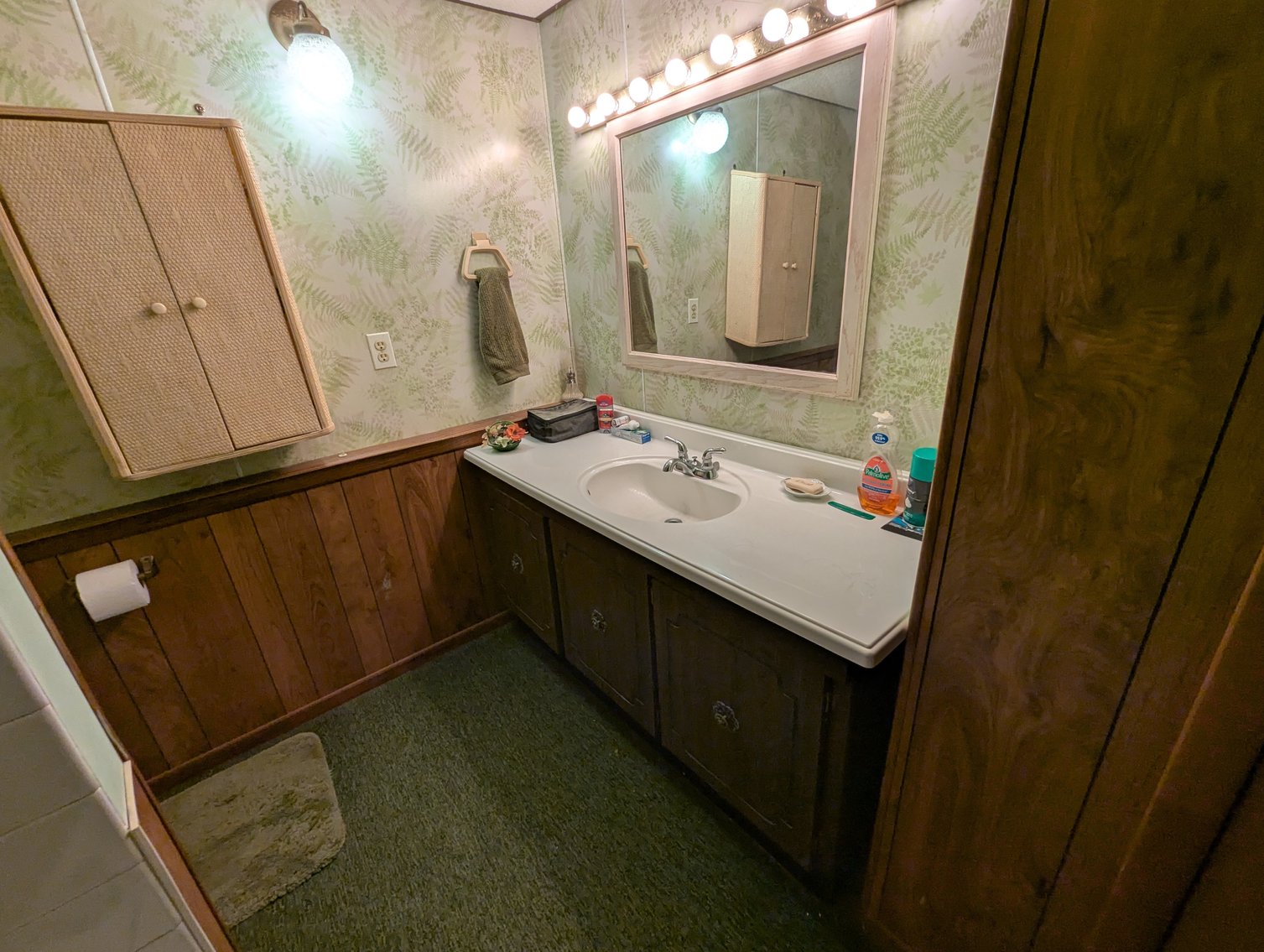 Image for 4 BR, 3 BA BRICK & SIDED RANCHER 0.82 +/- AC LOT