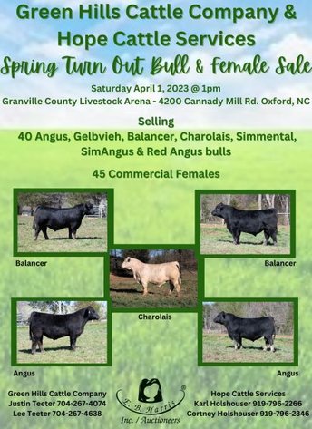 Green Hills Cattle