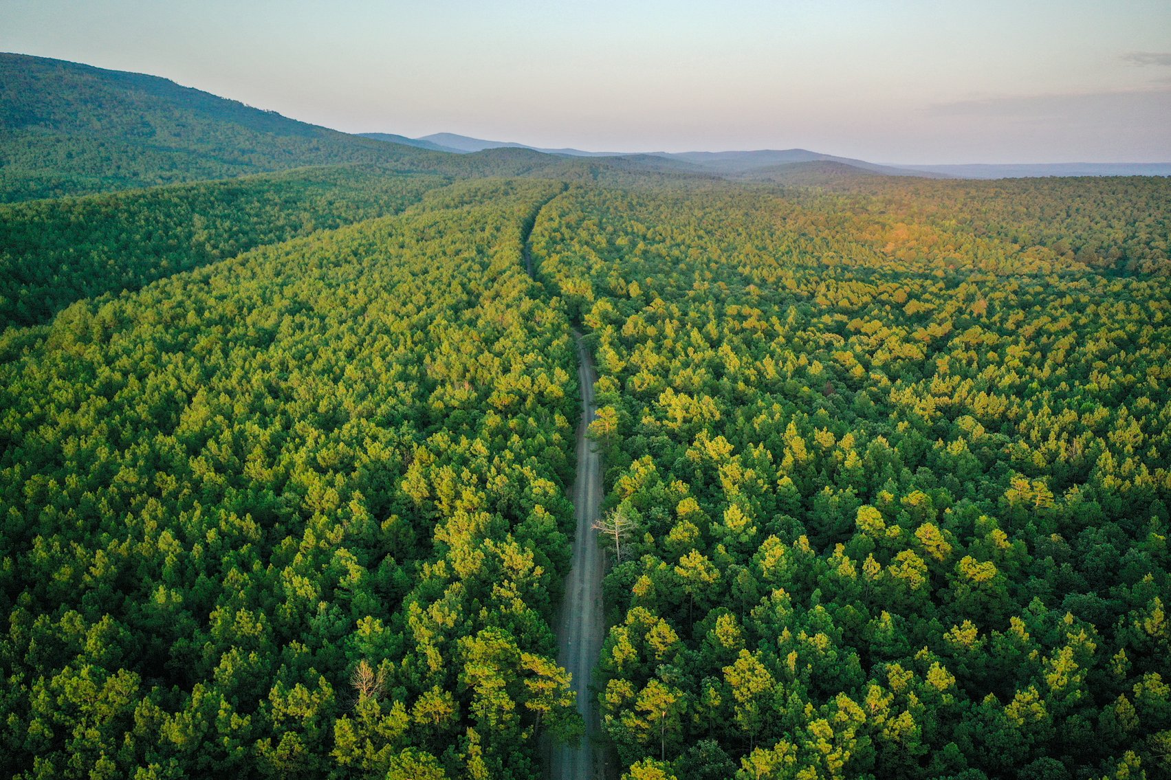 Image for Mena Timber Land | 4,636 Acres Auction