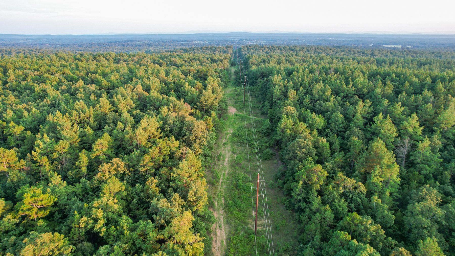 Image for Mena Timber Land | 4,636 Acres Auction