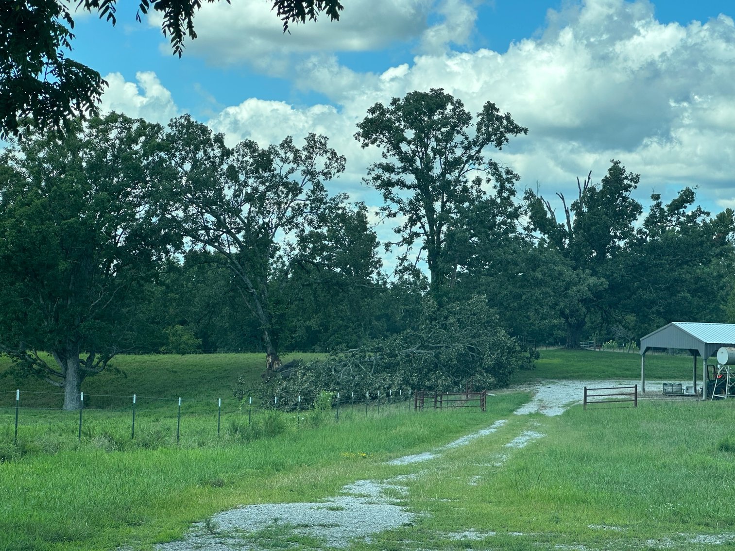 Image for Davidson Real Estate Auction