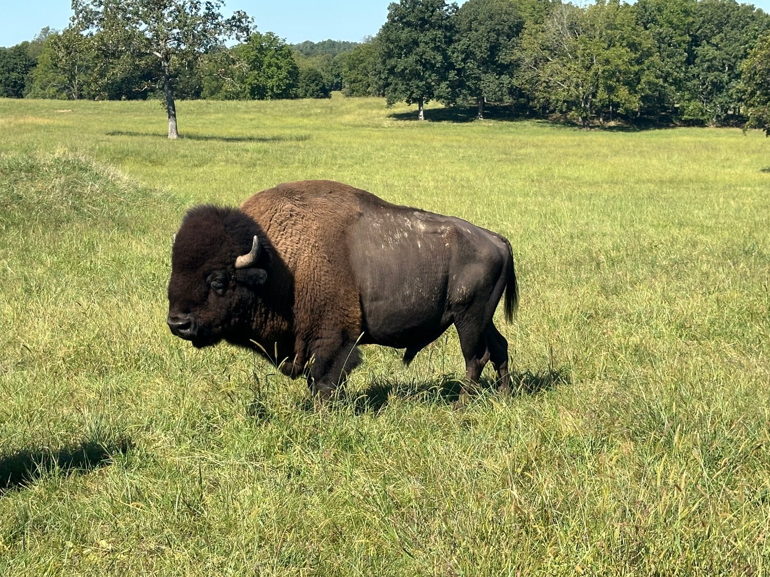 Image for Windhaven Public Farm Auction