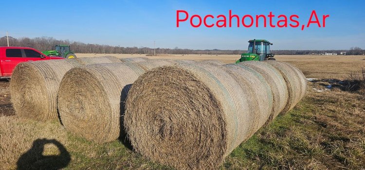 Image for Tedder Outstanding Hay Auction