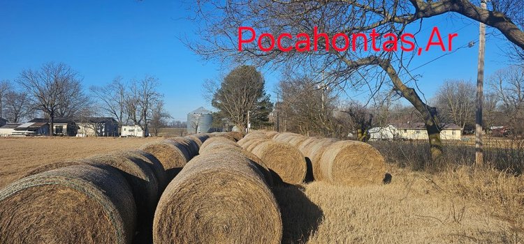 Image for Tedder Outstanding Hay Auction