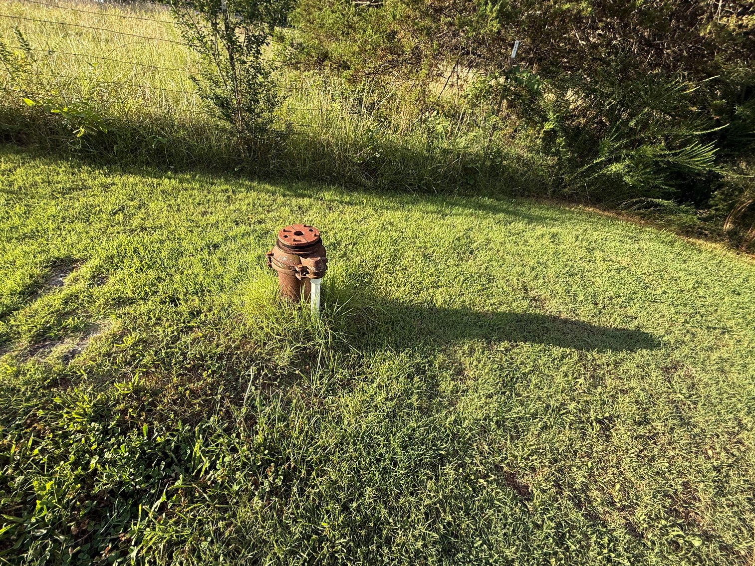 Image for Labor Day Auction