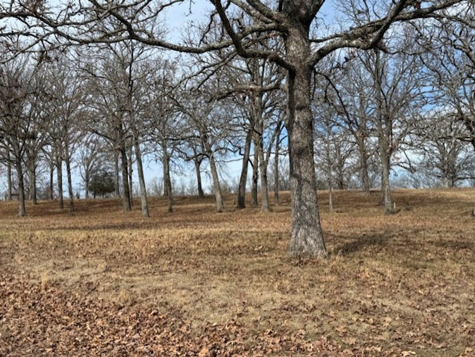 Image for Smith Real Estate Auction