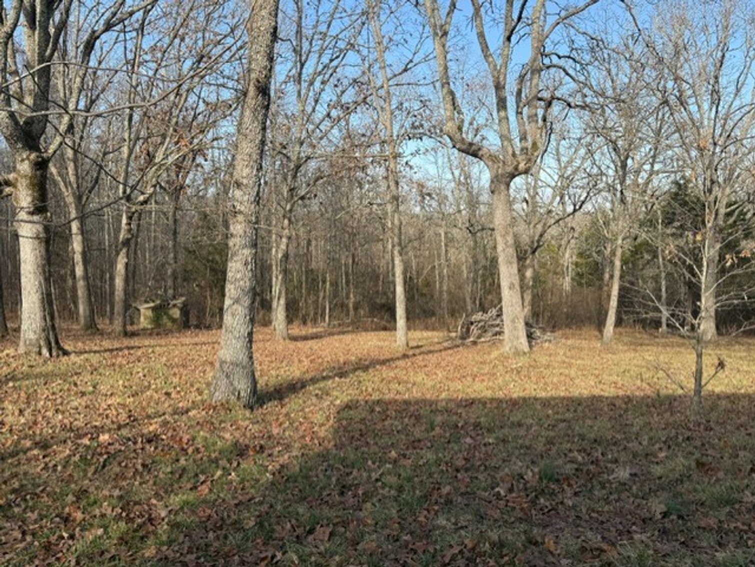 Image for Smith Real Estate Auction