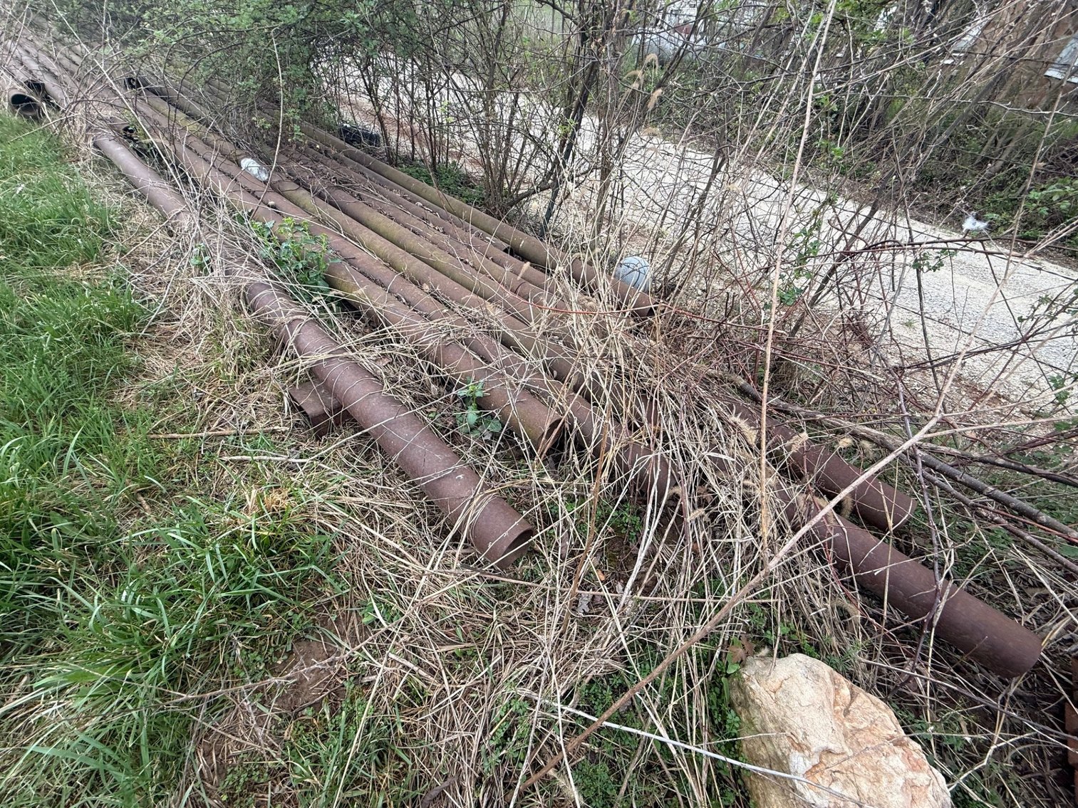 Image for Maloney Farm Dispersal