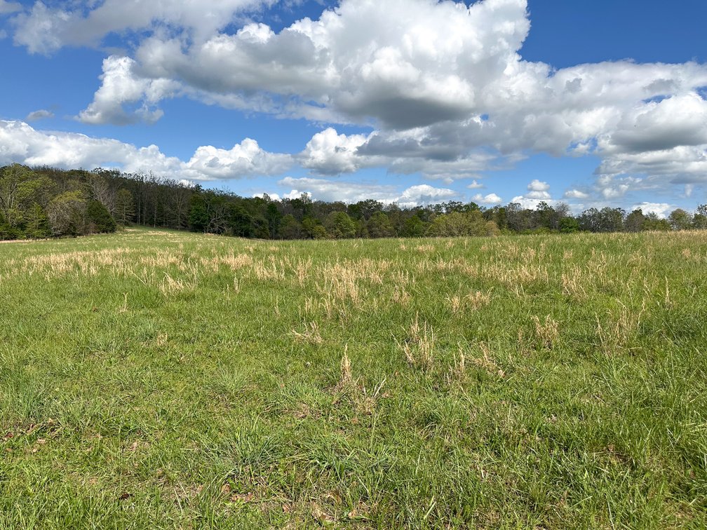 Image for Howell County Real Estate Auction