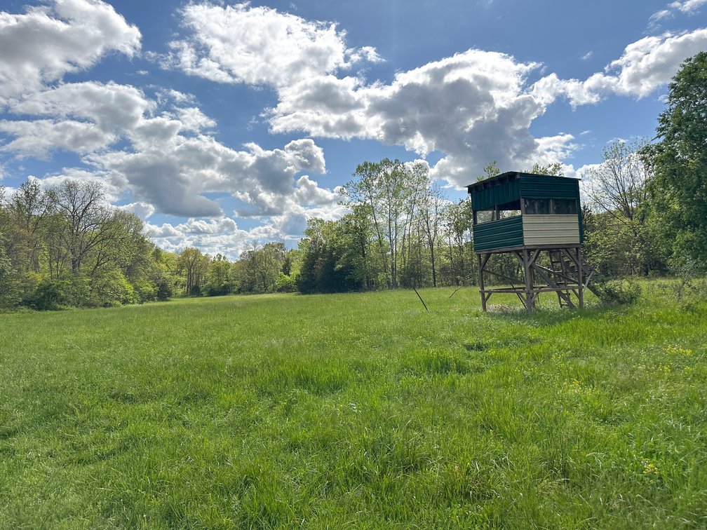 Image for Howell County Real Estate Auction