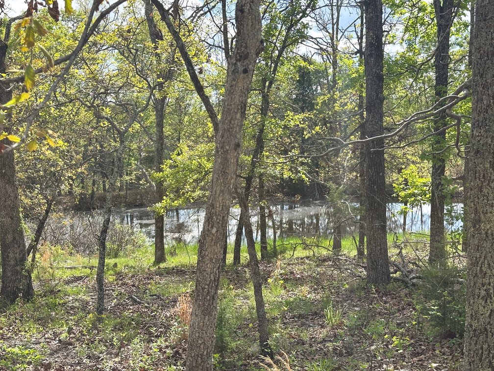 Image for Howell County Real Estate Auction