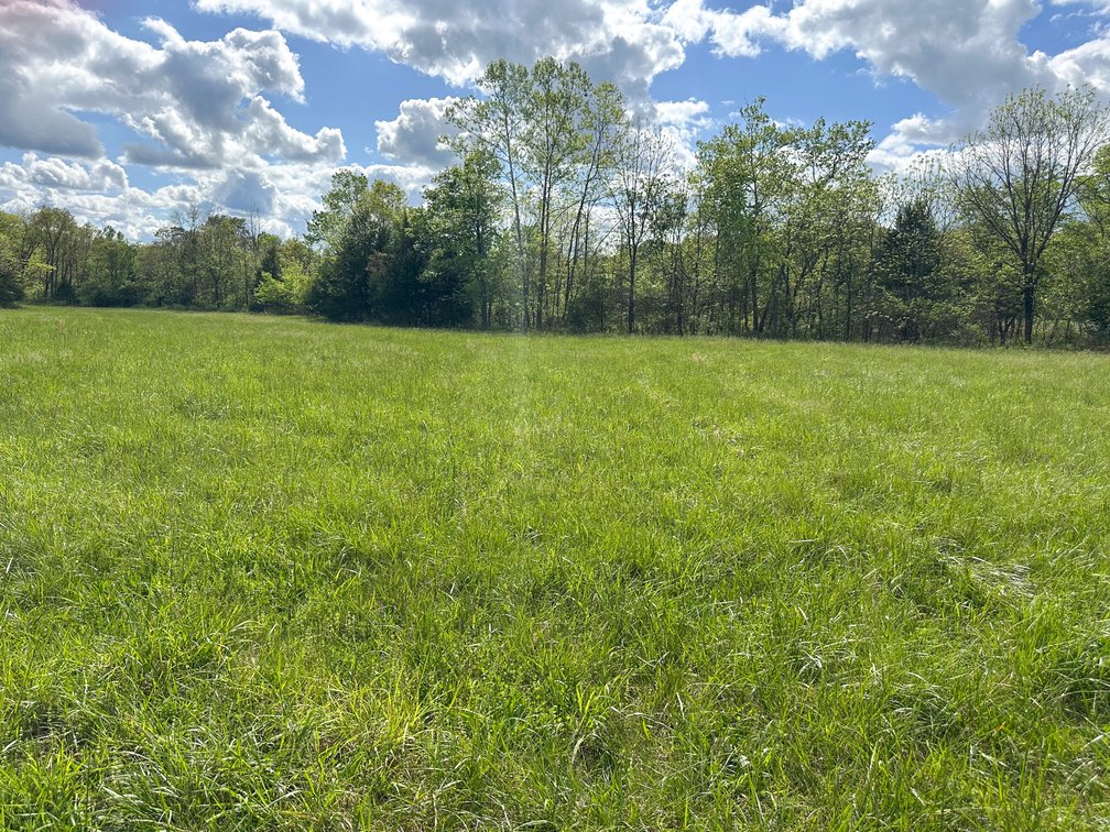 Image for Howell County Real Estate Auction