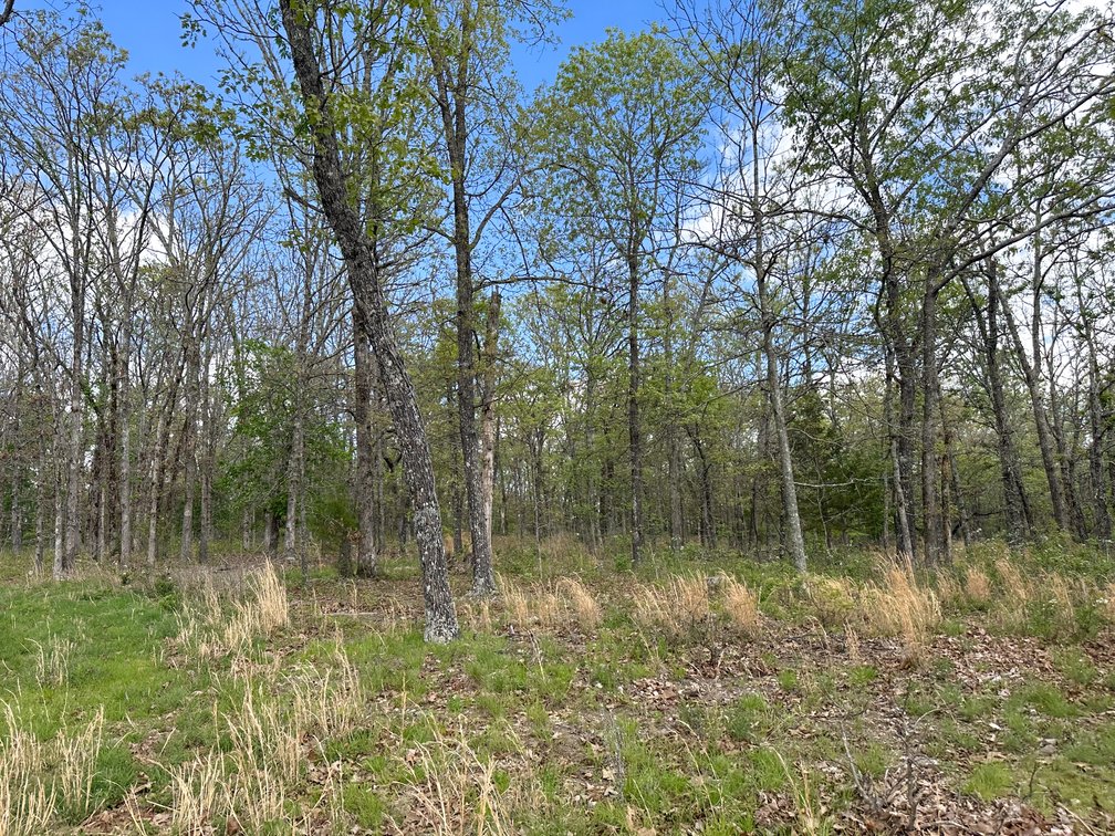 Image for Howell County Real Estate Auction