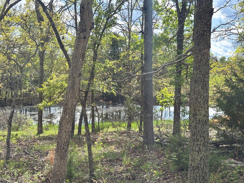 Image for Howell County Real Estate Auction