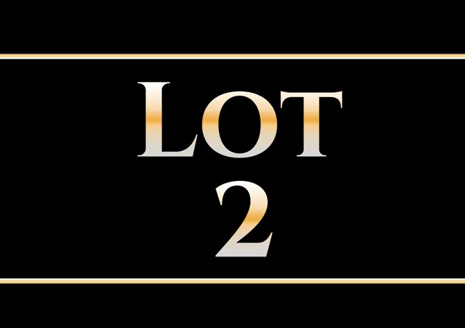 Image for Real Estate Lots Auction