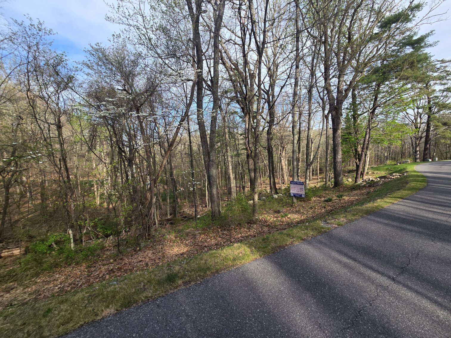 Image for May 5th, 2026 - May 19th, 2026 - Bath County Tax Auction