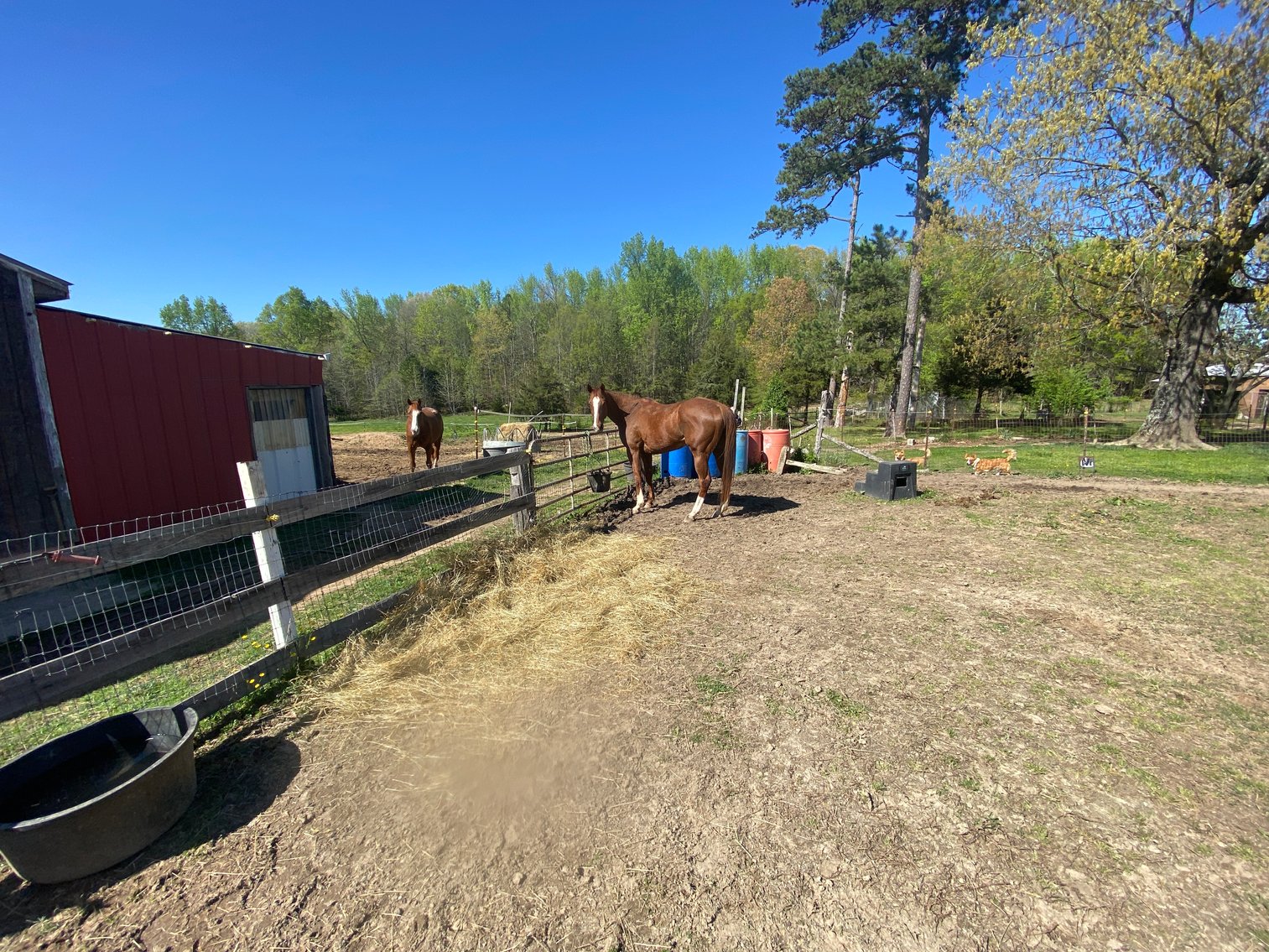Image for Fix and Flip Special on a 10 Acre Horse Farm