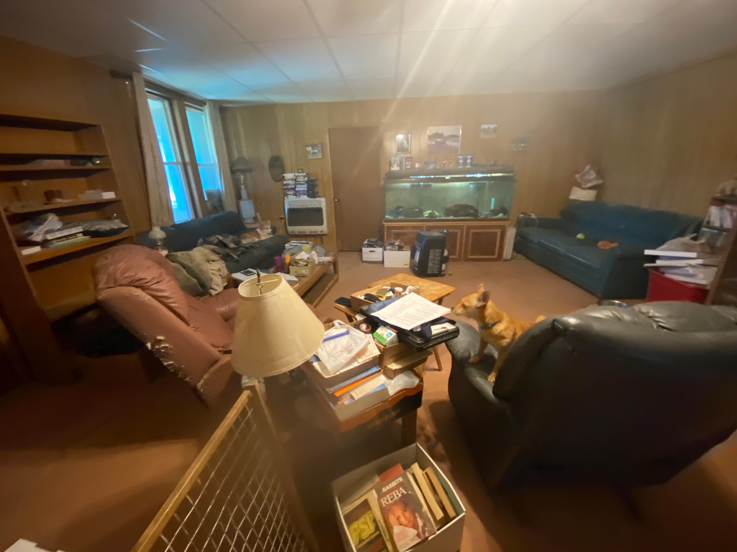 Image for Fix and Flip Special on a 10 Acre Horse Farm