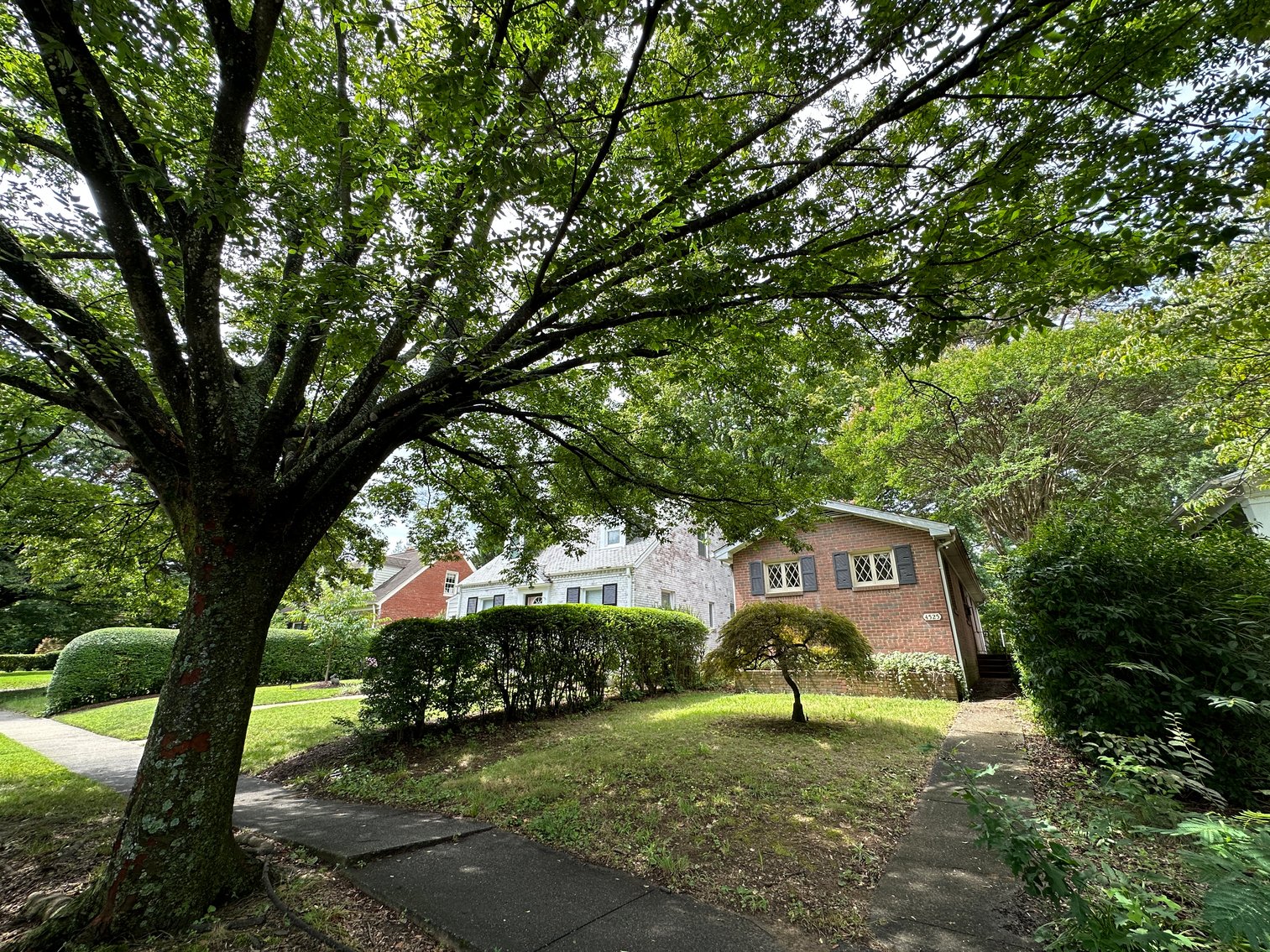 Image for 1 Bed/ 1 Bath Brick Rancher located in Willow Lawn; 4525 Fitzhugh Ave