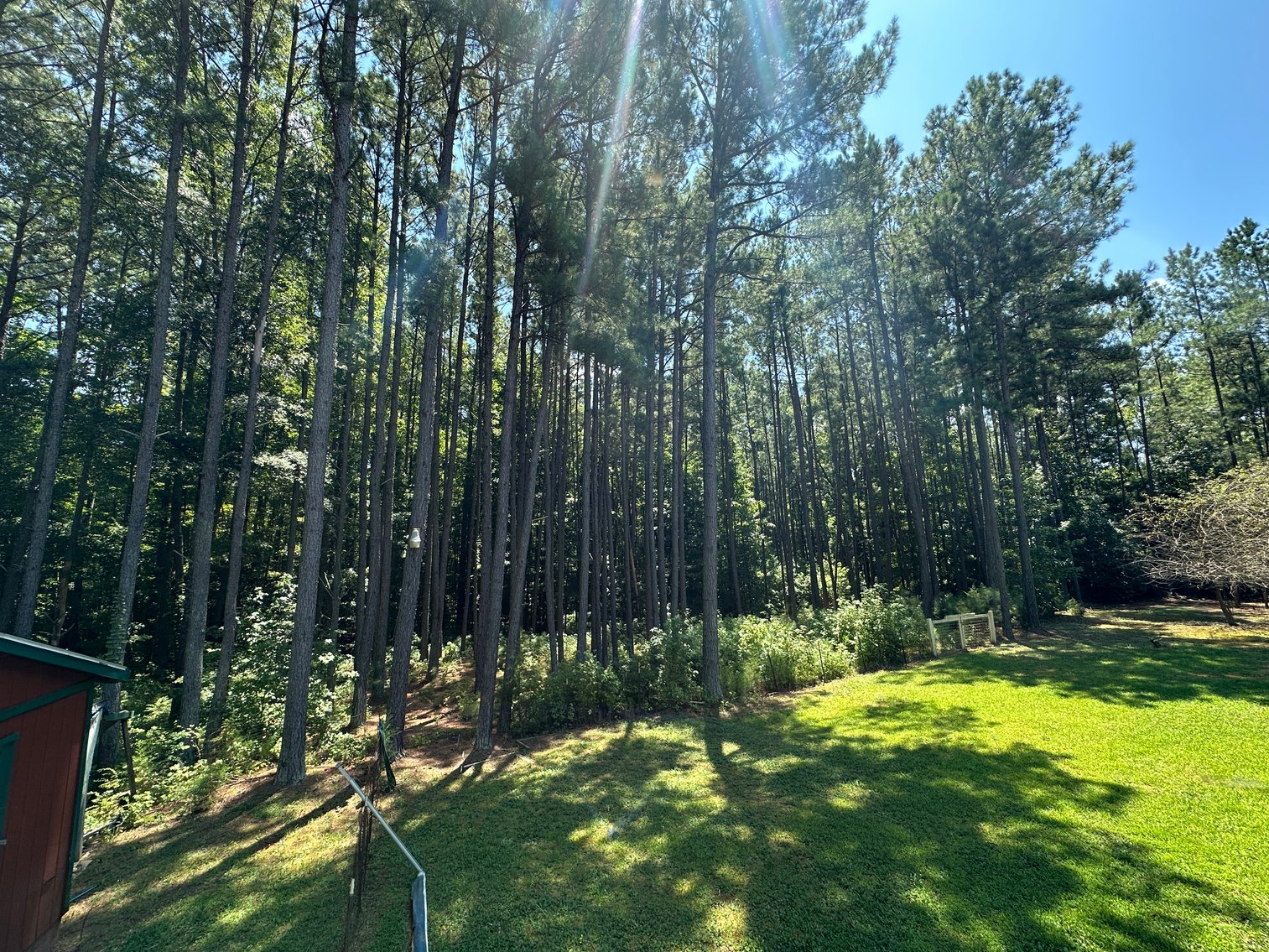 Image for Renovated Log Cabin on 3.2 Acres, 15 Minutes from Lake Gaston
