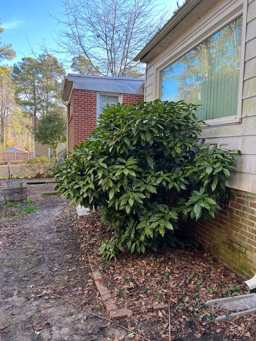 Image for 3BR/1BA 1,400 Sqft Home at 915 Northampton Rd, Petersburg, VA
