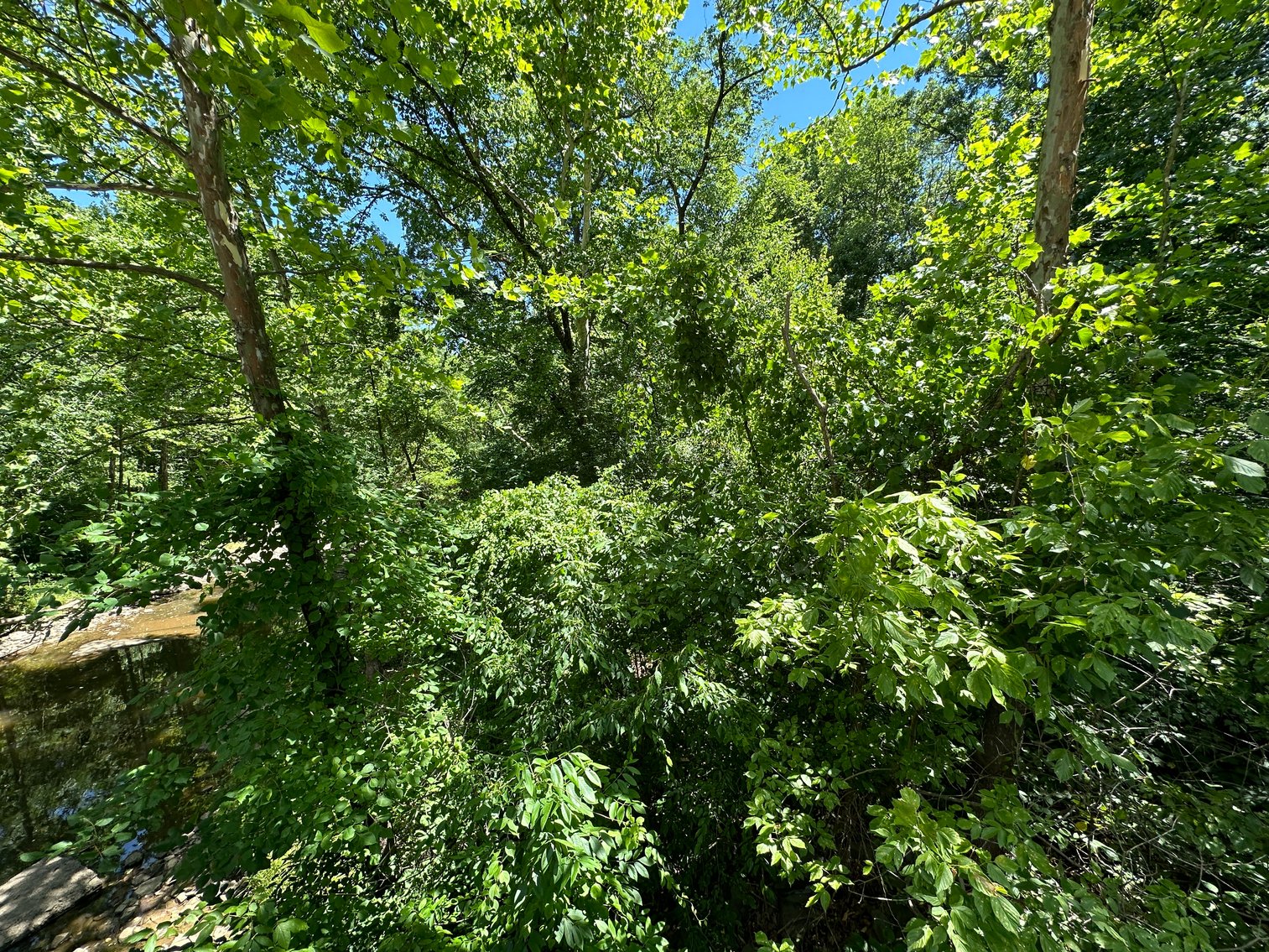Image for Prince William County , VA - Sale of Tax Delinquent Real Estate